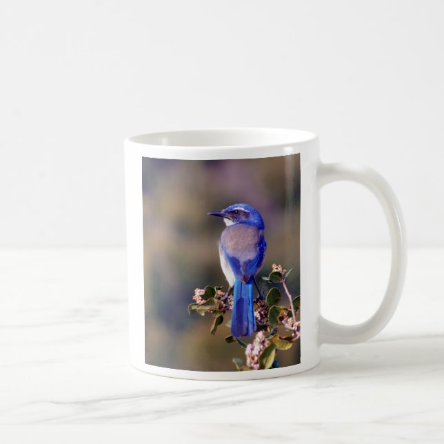 Mug Bleu de la Californie (Droite)