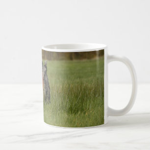 Mug bleu merle aussie courant avec jouet