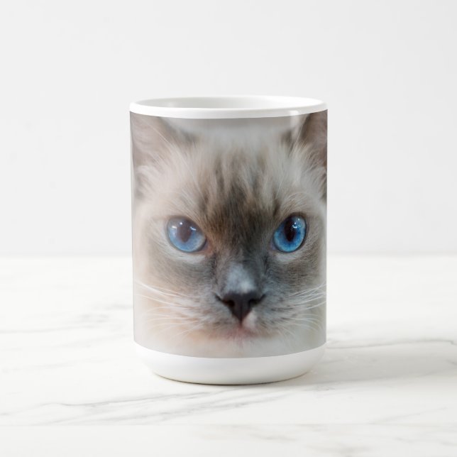 Mug Bleu ‎ Ragdoll (Centre)