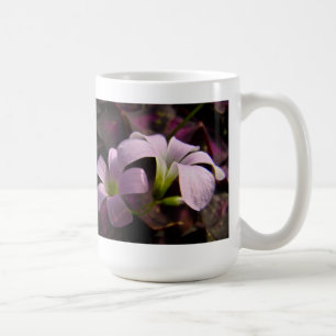 Mug Blossoms Oxalis violets