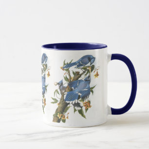 Mug Blue Jay, John James Audubon