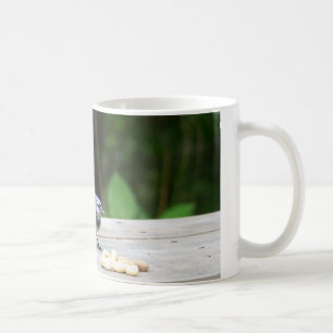 Mug Blue Jay obtient une cacahuète