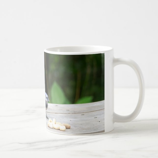 Mug Blue Jay obtient une cacahuète (Droite)