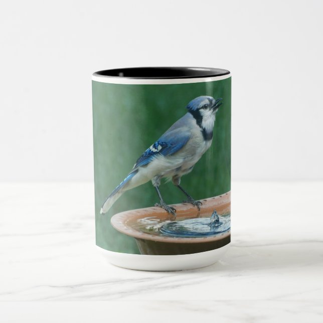 Mug Blue Jay sur Bird Bath Bird Photographie d'oiseau  (Centre)