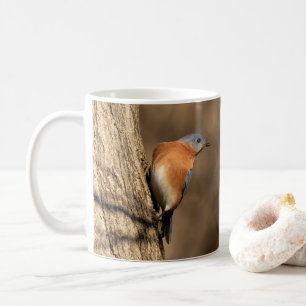Mug Bluebird, Regard sur les trottoirs