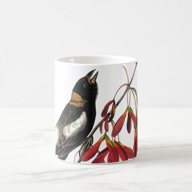 Mug Bobolink par Audubon (Centre)