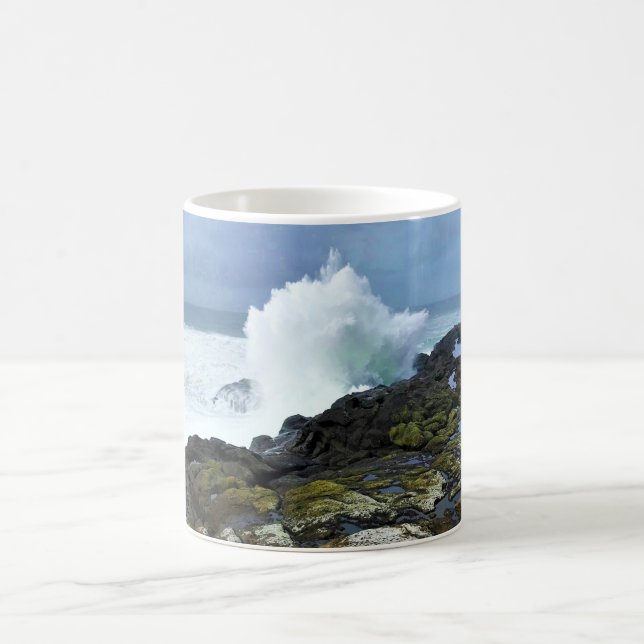 Mug Boiler Bay State Wayside, Depoe Bay, Oregon (Centre)