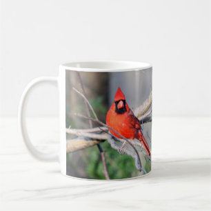 Mug Bois cardinaux de ressort