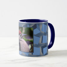 Boîtes à tambours bleu