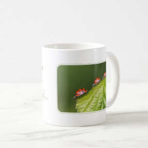 Mug Bonjour ladybugs motivation citation esprit