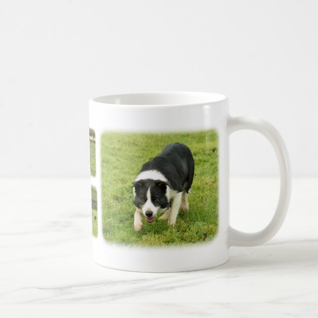 Mug Border collie 8M054D-05, border collie 8M052D-0… (Droite)