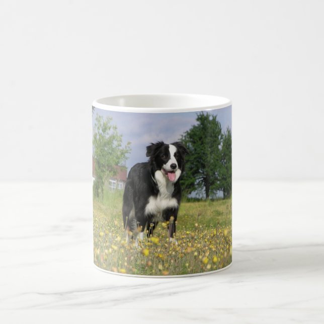 Mug border collie plein 3.png (Centre)