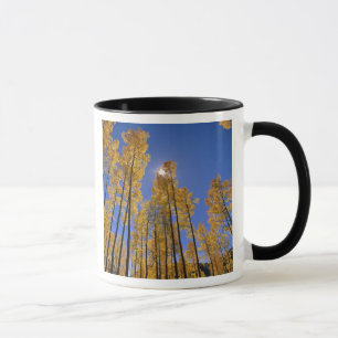 Mug Bosquet de trembles en automne dans la chaîne San 