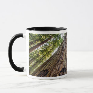 Mug Bosquet Roosevelt