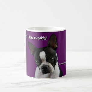 Mug Boston Terrier :  Biscuit svp ?