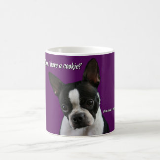Mug Boston Terrier :  Biscuit svp ?