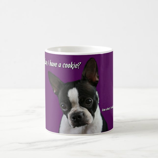 Mug Boston Terrier :  Biscuit svp ? (Centre)