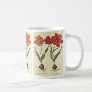 Mug Botanique vintage, Fleurs et ampoules de tulipes f