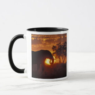 Mug Botswana, parc national de Chobe, éléphant mâle