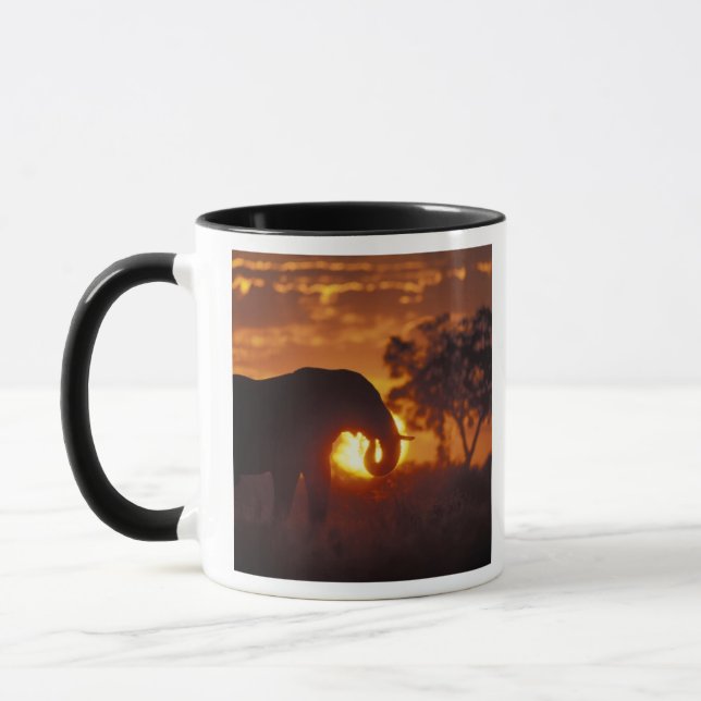Mug Botswana, parc national de Chobe, éléphant mâle (Gauche)