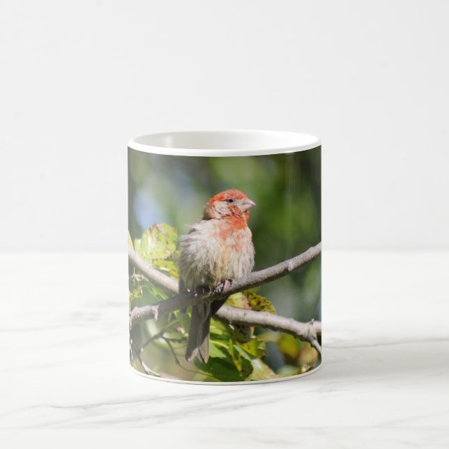 Mug Bouchon de la maison (Centre)