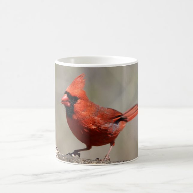 Mug Boue cardinale (Centre)
