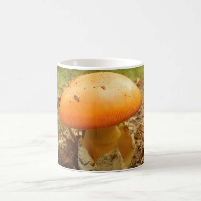 Mug Boue de champignons Amanita Caesarea (Centre)