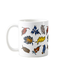 Boues de mer Nudibranche