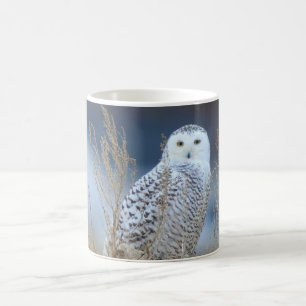 Mug Boule des neiges