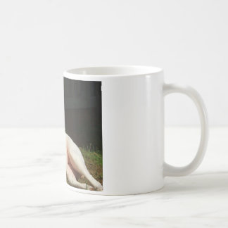 Mug bouledogue américain