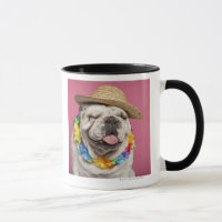 Bouledogue anglais (18 mois) portant une paille