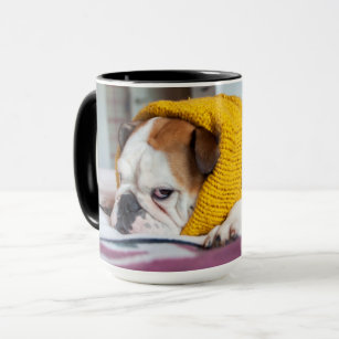 environ 283.49 g Bulldog Anglais Pups Tasse à café 10 oz en céramique portant tricoté laineux chapeau photo