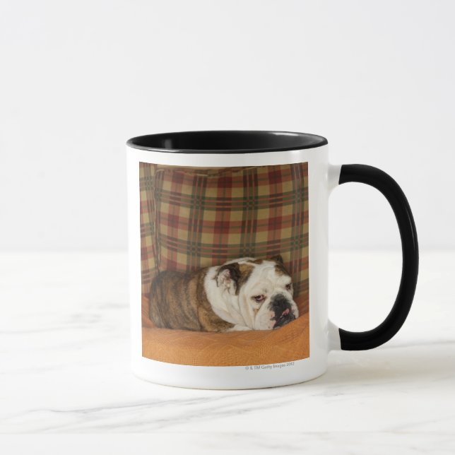 Mug bouledogue se trouvant sur un sofa (Droite)