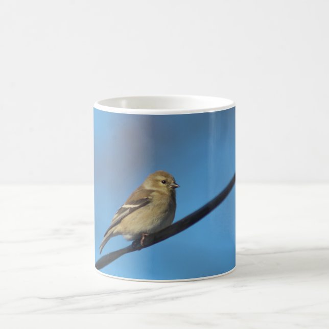 Mug Bouteille Goldfinch (Centre)