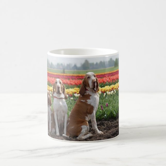 Mug Bracco_italiano group.png (Centre)