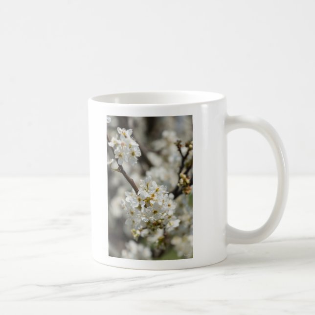 Mug Bradford Select Focus (Droite)