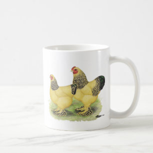 Mug Brahmas :  Coqs nains de couleur chamois