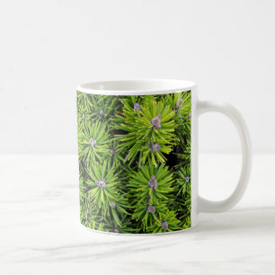 Mug branches à feuillage persistant