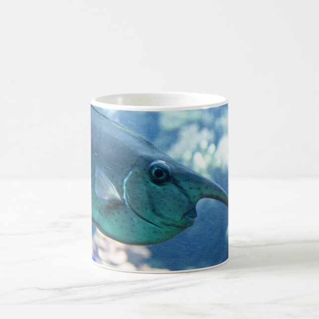 Mug Brevirostris de Naso (Centre)