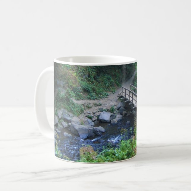 Mug Bridge at Latourell Falls, Oregon (Devant gauche)