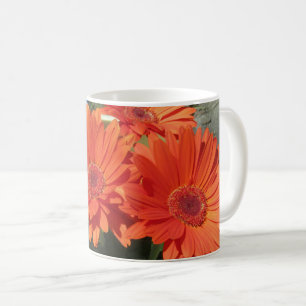 Mug Bright Orange Gerbera Daisy Photo 