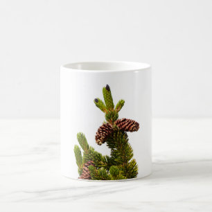 Mug Bristlecone