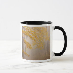 Mug Brouillard et feuillage d'automne, Great Smoky Mou