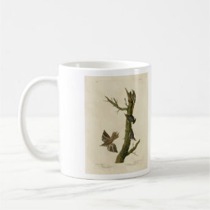 Mug Brown Creeper, Pygmy Nuthatch des oiseaux d'Audubo