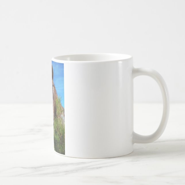 Mug Brown et crème Couleur Cheval bleu ciel (Droite)
