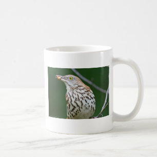 Mug Brown Thrasher avec le crochet de l'habillement de