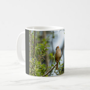 Mug Bruant à couronne blanche – Photographie d'art d'o