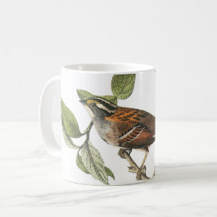Mug Bruant à gorge blanche par Audubon