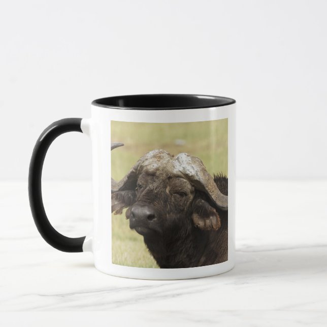 Mug Buffle d'Afrique, Syncerus caffer (Gauche)