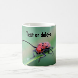 Mug Bug With Attitude Funny Personalized